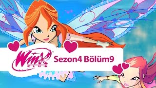 Winx Club – 4. Sezon 9. Bölüm – Nebula