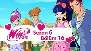 Winx Club – 6. Sezon 16. Bölüm – Zombi istilası