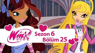 Winx Club – 6. Sezon 25. Bölüm – Acheron