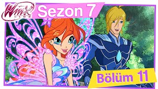 Winx Club – 7. Sezon 11. Bölüm – Ormanda görev