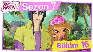 Winx Club – 7. Sezon 16. Bölüm – Cennet Koyuna geri dönüş