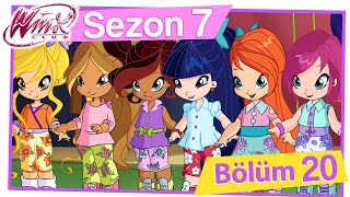 Winx Club – 7. Sezon 20. Bölüm – Bebek Winx