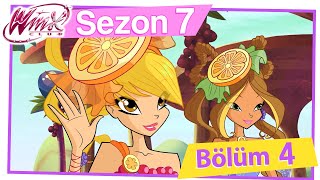 Winx Club – 7. Sezon 4. Bölüm – Evrenin İlk Rengi