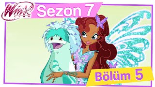 Winx Club – 7. Sezon 5. Bölüm – Geçmişten bir dost