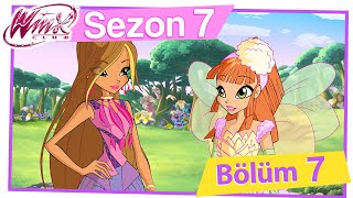 Winx Club – 7. Sezon 7. Bölüm – Kurda Dikkat