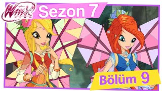 Winx Club – 7. Sezon 9. Bölüm – Peri Kedi