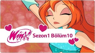 Winx Club – Sezon 1 Bölüm 10 – Domino