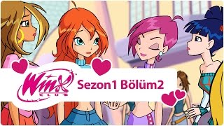 Winx Club – Sezon 1 Bölüm 2 – Magix’e Hoşgeldiniz