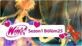 Winx Club – Sezon 1 Bölüm 25 – Büyük Meydan Okuma