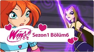 Winx Club – Sezon 1 Bölüm 6 – Sihirli Arşivin Şifresi