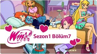 Winx Club – Sezon 1 Bölüm 7 – Arkadaşlar ne içindir?