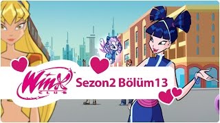 Winx Club – Sezon 2 Bölüm 13 – Görünmez Periler