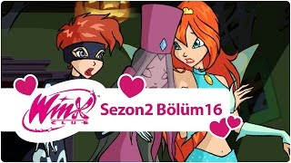 Winx Club – Sezon 2 Bölüm 16 – Cadılar Bayramı