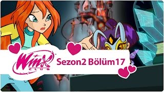 Winx Club – Sezon 2 Bölüm 17 – Cadılar’la İşbirliği