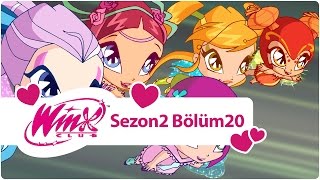 Winx Club – Sezon 2 Bölüm 20 – Pixie village