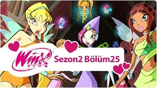 Winx Club – Sezon 2 Bölüm 25 – Düşmanla Karşı Karşıya