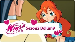 Winx Club – Sezon 2 Bölüm 9 – Profesör Avolon’un Sırrı