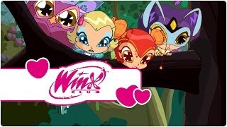 Winx Club – Sezon 3 Bölüm 20 – Pixiler İş Başında