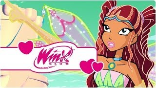 Winx Club – Sezon 3 Bölüm 25 – Büyücünün Öfkesi