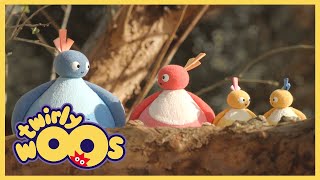 Twirlywoos – 19.Bölüm