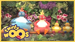 Twirlywoos – 21.Bölüm