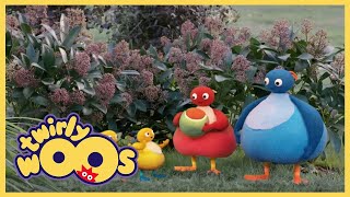 Twirlywoos – 9.Bölüm